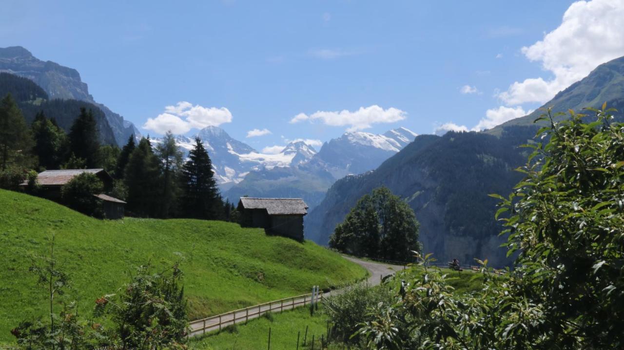 Staubbachbaenkli Apartment Wengen Exterior photo